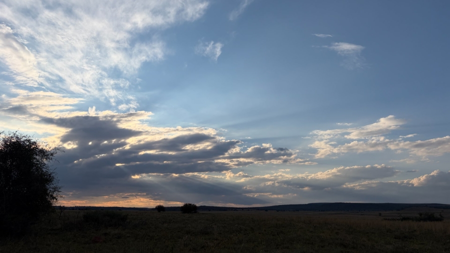 Commercial Property for Sale in Lekwena Wildlife Estate North West